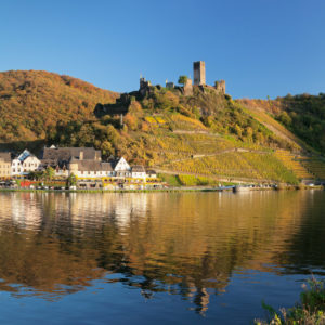 Burgruine Metternich, Beilstein, Mosel, Rheinland-Pfalz, Deutschland Burgruine Metternich, Beilstein, Mosel, Rheinland-Pfalz, Deutschland
